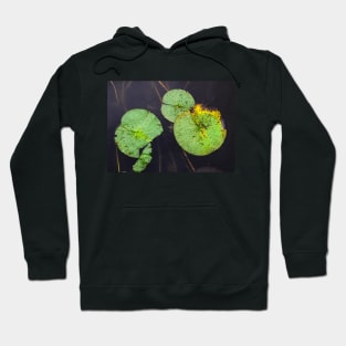 Freckled Water Lillies Photograph Hoodie